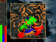 Click here to download Liquid War.