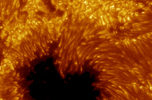 Anatomy of a sunspot.