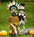 Arfarf! (Happy) Meowrr! (Thanksgiving)